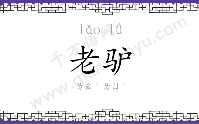 老驴