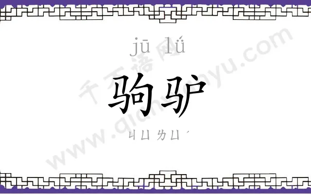 驹驴