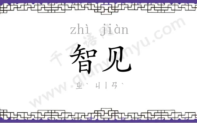 智见