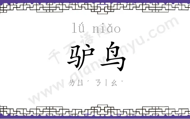 驴鸟