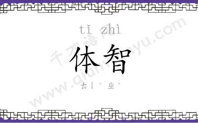 体智