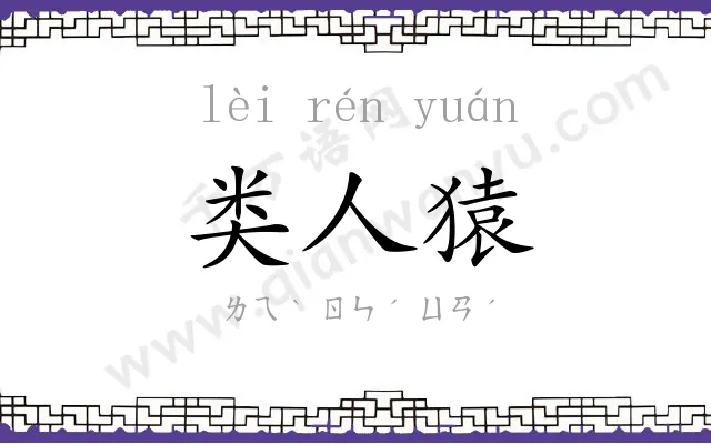 类人猿