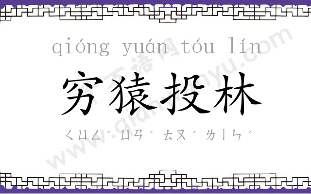 穷猿投林