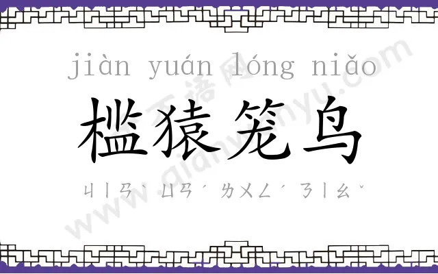 槛猿笼鸟