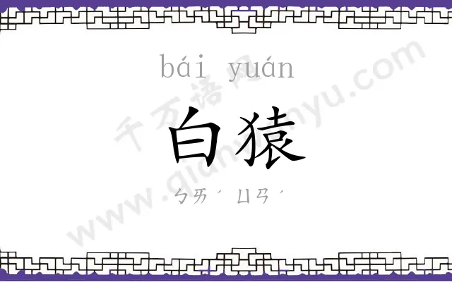 白猿