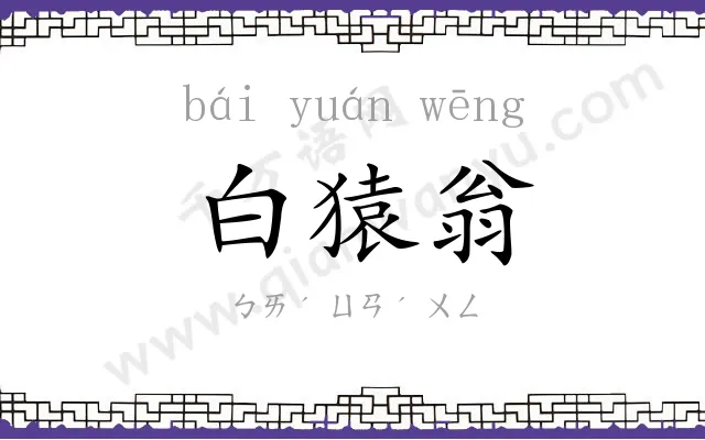 白猿翁