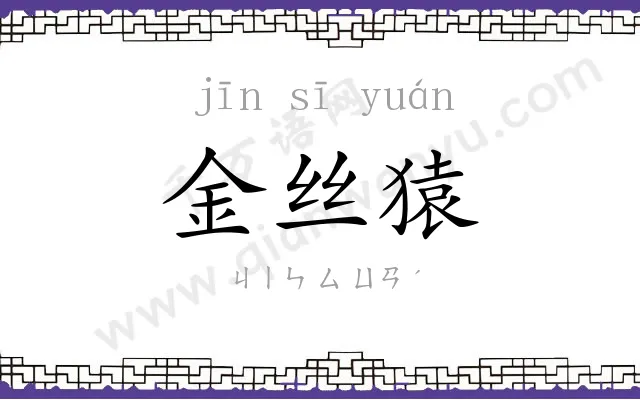 金丝猿