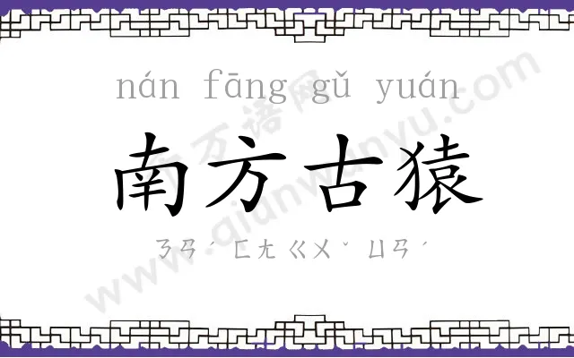 南方古猿
