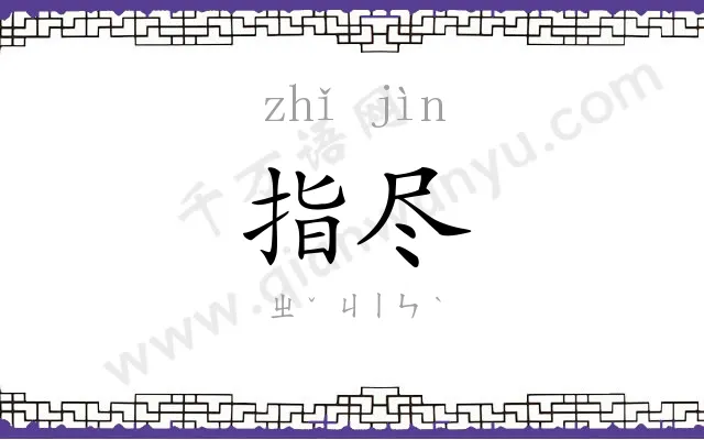 指尽