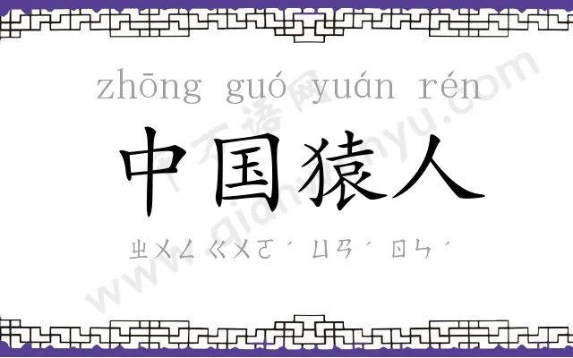 中国猿人