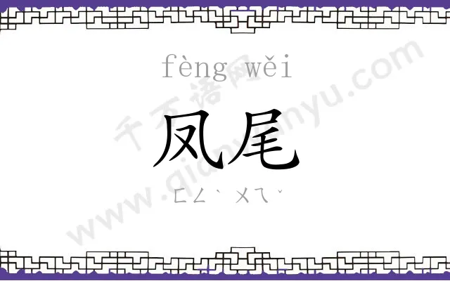 凤尾