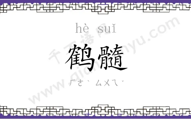 鹤髓