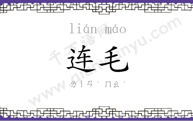 连毛