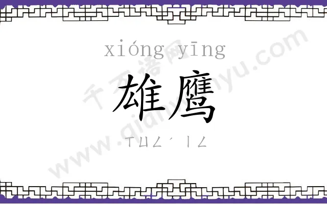 雄鹰