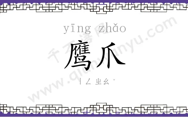 鹰爪