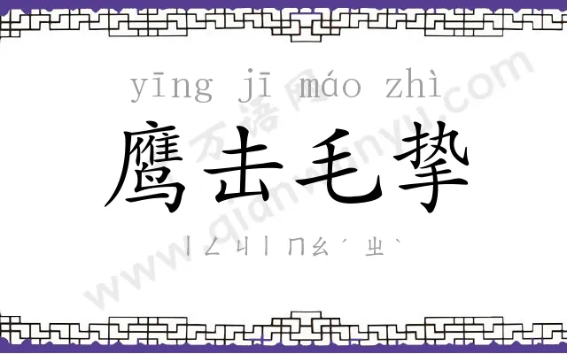 鹰击毛挚