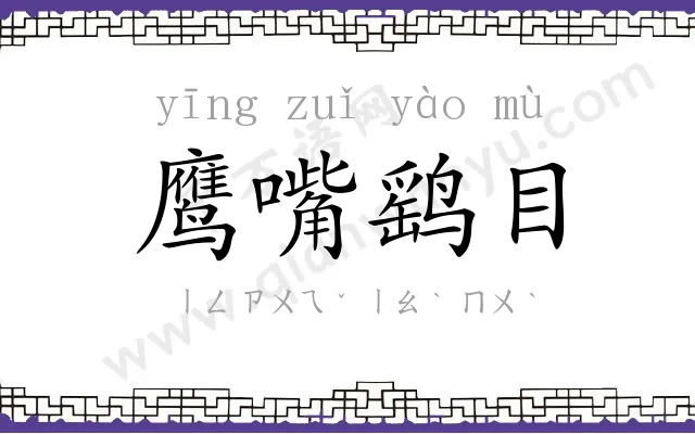 鹰嘴鹞目