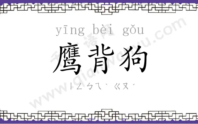 鹰背狗