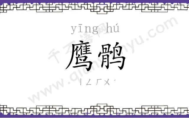 鹰鹘