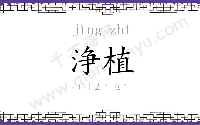 浄植