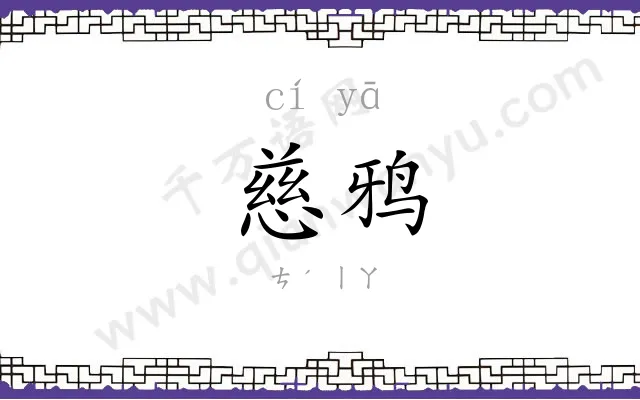 慈鸦