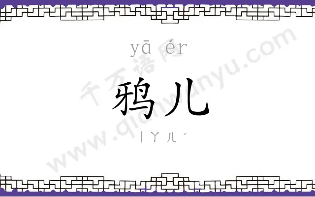 鸦儿
