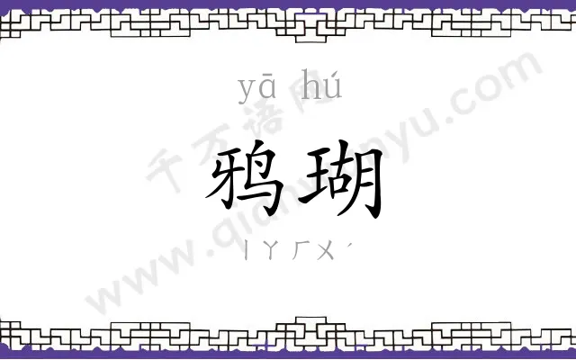 鸦瑚