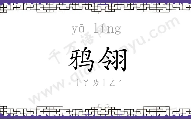 鸦翎