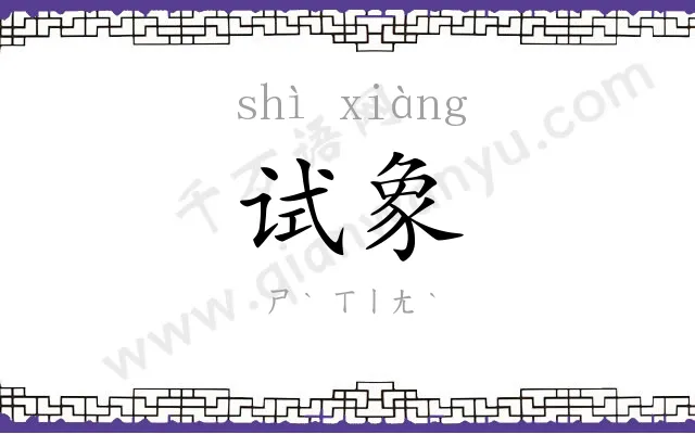 试象