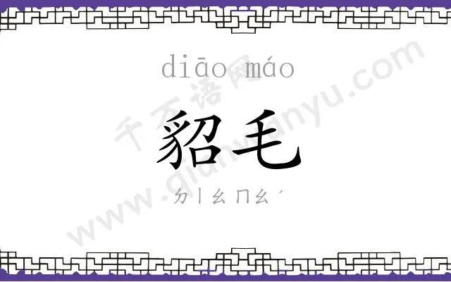 貂毛