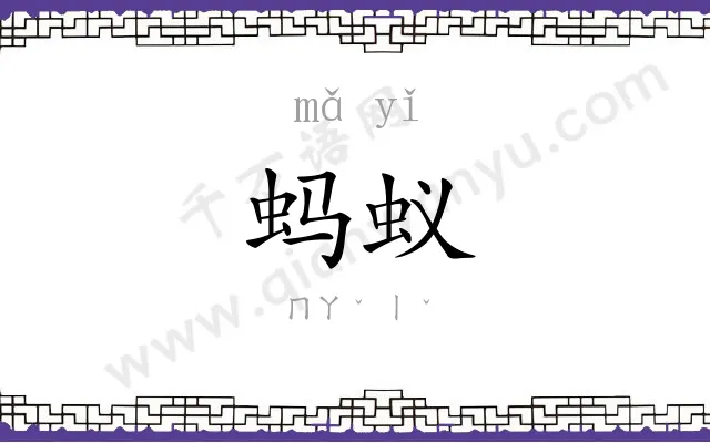 蚂蚁