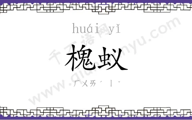 槐蚁