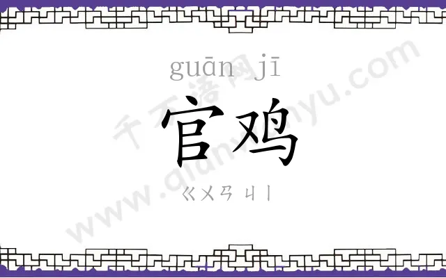 官鸡