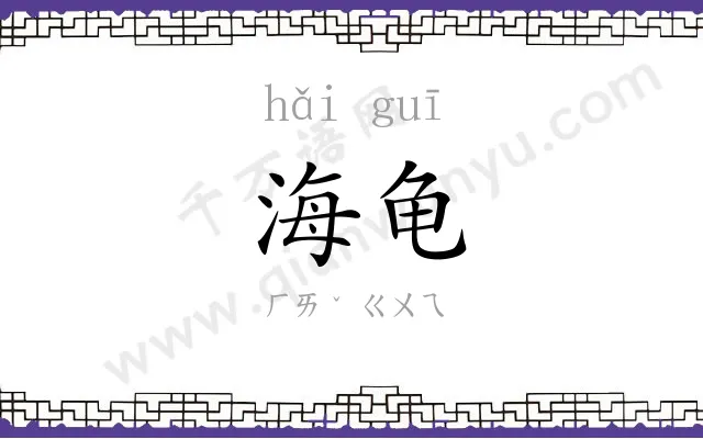 海龟