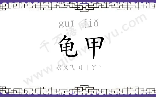龟甲