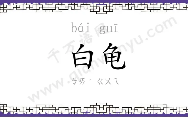 白龟