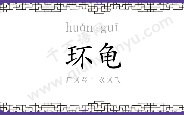 环龟