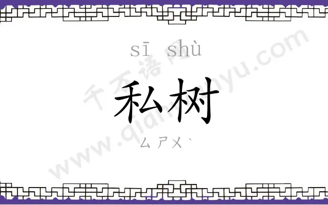 私树