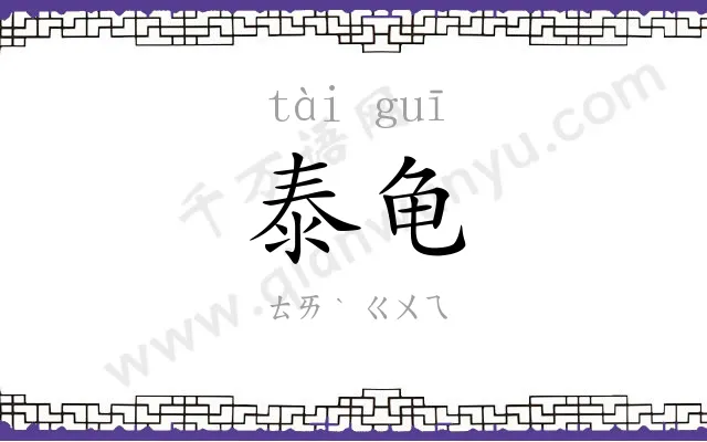 泰龟