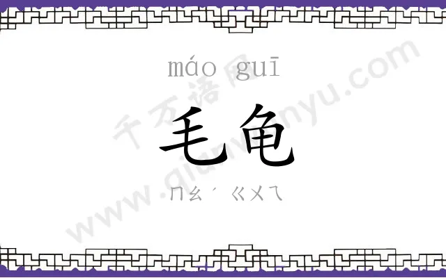 毛龟