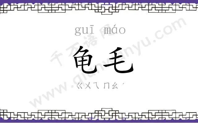龟毛