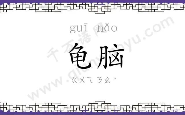 龟脑