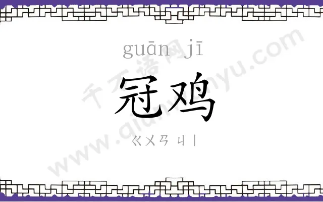 冠鸡