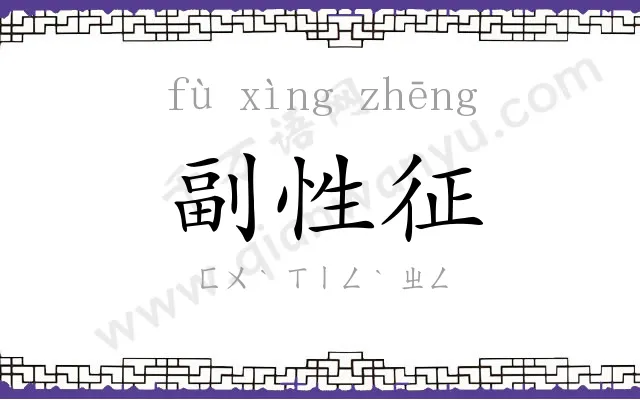 副性征