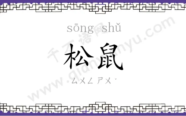 松鼠