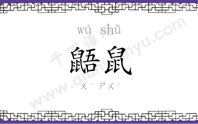 鼯鼠