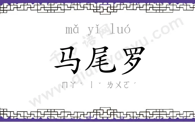 马尾罗