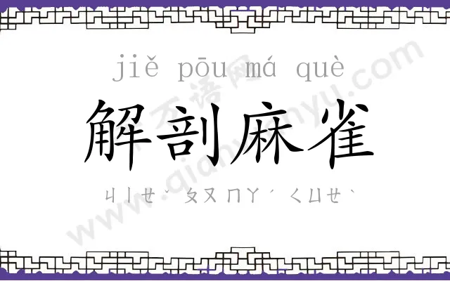 解剖麻雀