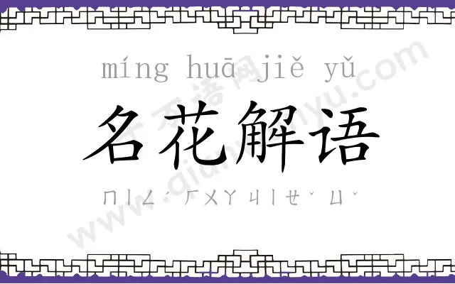 名花解语