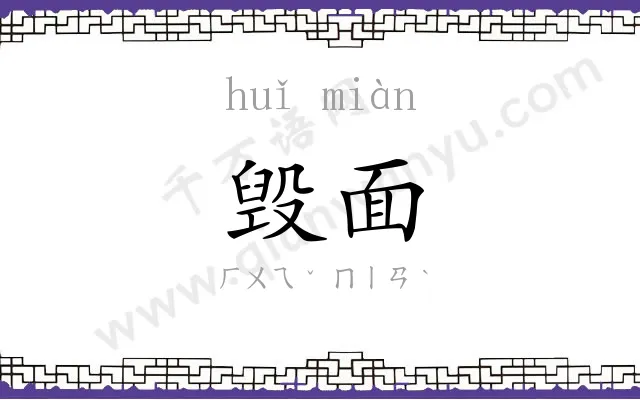 毁面
